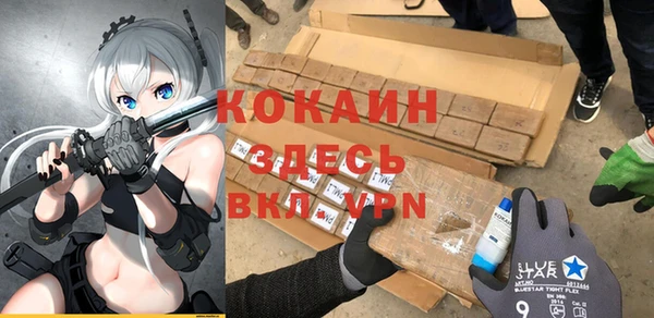 соль ск Алексин
