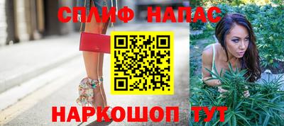 мяу мяу кристалл Малоярославец