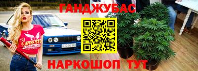 мяу мяу кристалл Малоярославец