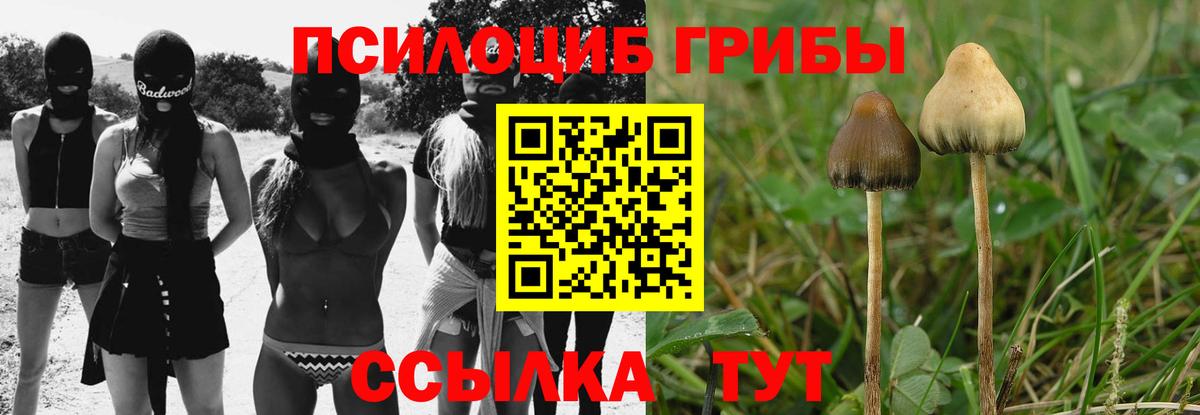 Волжский  Галлюциногенные грибы Magic Shrooms  Псилоцибиновые грибы прущие грибы  Вход с VPN 